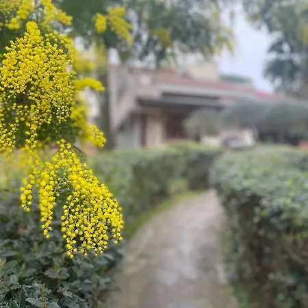 Incantevole Con Giardino *