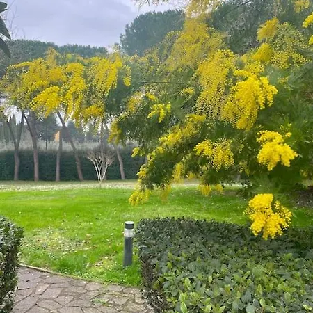 Incantevole Con Giardino 빌라 *